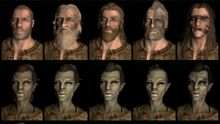 Twenty Different Faces For Each of <em>Skyrim</em>'s Races
